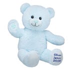 Personalized Baby Blue Teddy Bear